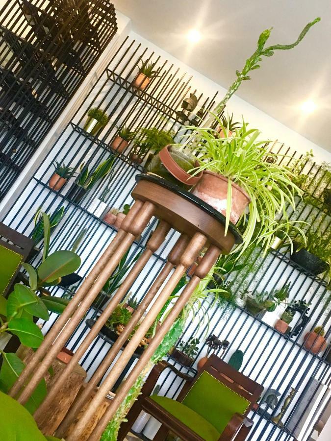 Çeşme Sato Design Hotel (Adults Only) מראה חיצוני תמונה