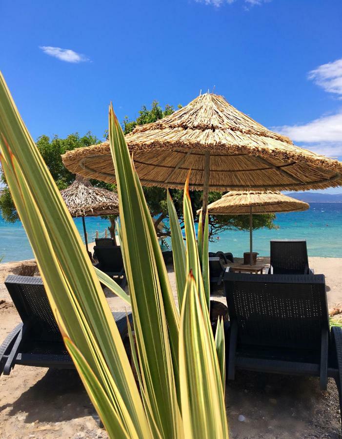 Çeşme Sato Design Hotel (Adults Only) מראה חיצוני תמונה